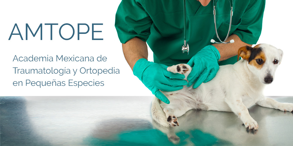 AMTOPE - Academia Mexicana de Traumatología y Ortopedia en Pequeñas Especies