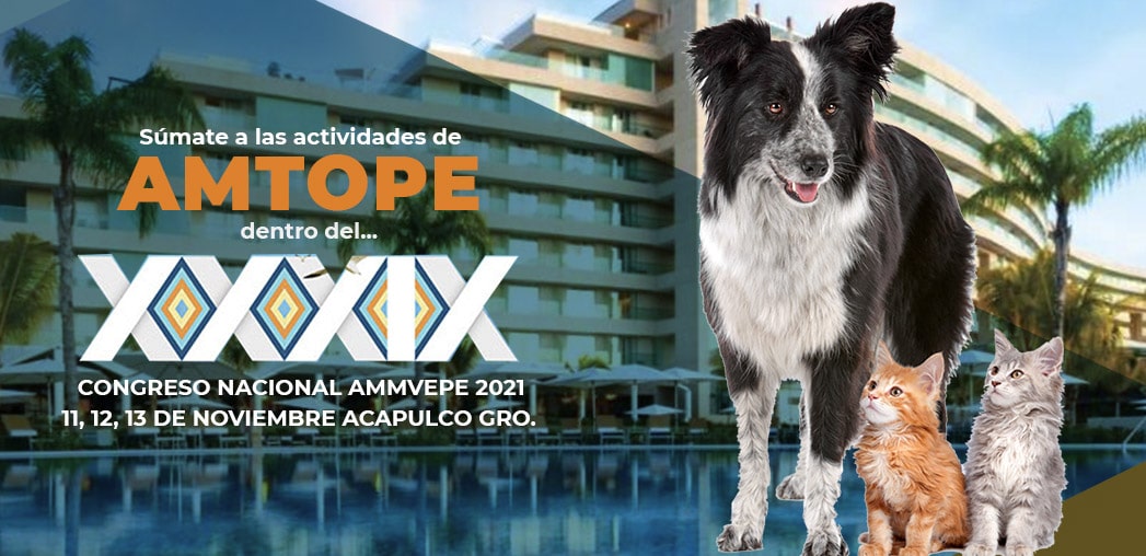 amtope en ammvepe-min