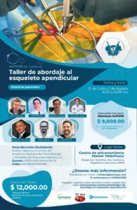 taller