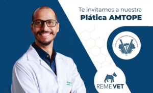platica-septiembre