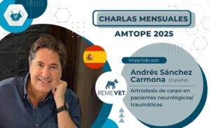 Artrodesis de carpo