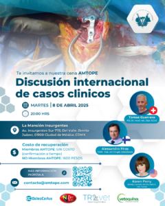 AMTOPE_poster_Discusión
