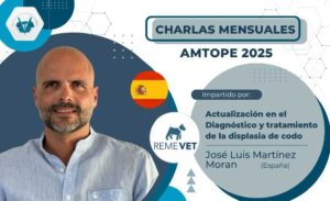 Jose Luis_Actualización en el Diagnóstico_junio 2025