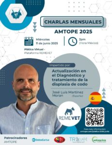 Jose Luis_Actualización en el Diagnóstico_web