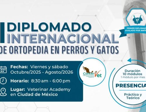 I Diplomado Internacional de Ortopedia en Perros y Gatos