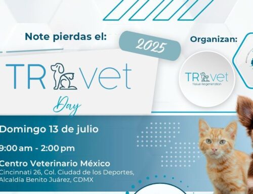 TR-Vet Day 2025