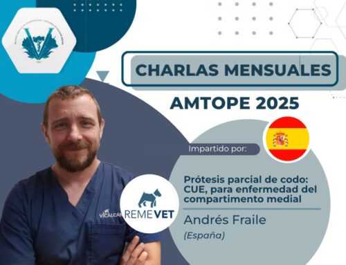 Prótesis parcial de codo: CUE, para enfermedad del compartimento medial