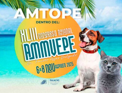 Actividades de Amtope en Ammvepe 2025