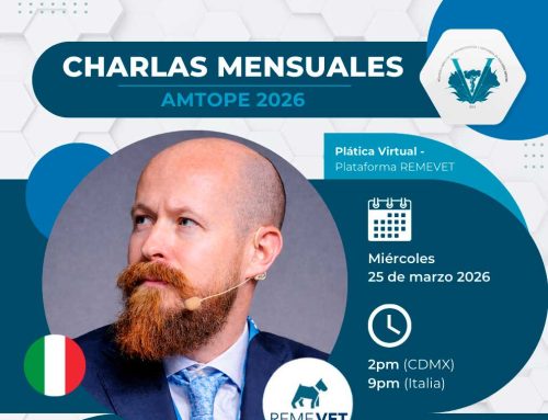 Trochlear Resurfacing (Reemplazo de Surco Patelar)