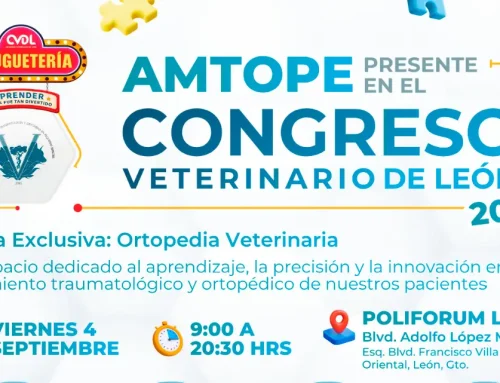 Amtope en CVDL 2026