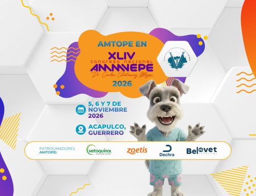 Actividades de Amtope en Ammvepe 2026