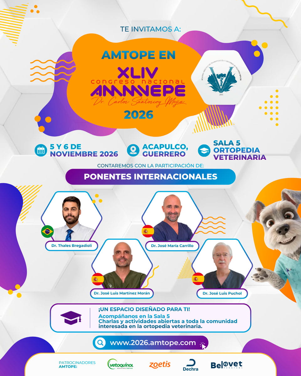 poster-oficial-ammpeve (1)